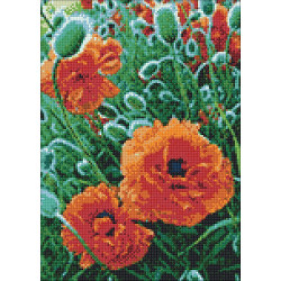 Timanttimaalaus, Unikkopelto, 27x38 cm, artkatalog, WD012