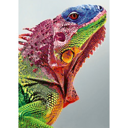 Dimanta mozaīka, Iguana, 27x38 cm, artkatalog, WD065