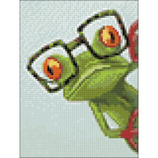 Diamond painting, Frog with Glasses, 15x20 cm, artkatalog, WD2362