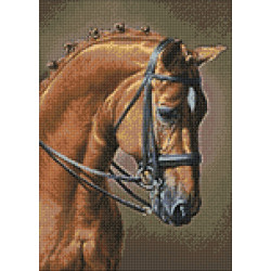 Dimanta mozaīka, Zirgu Lēkšana, 27х38 cm, artkatalog, WD256