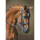 Dimanta mozaīka, Zirgu Lēkšana, 27х38 cm, artkatalog, WD256