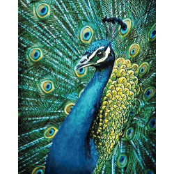 Dimanta mozaīka, Pāvs, 38х48 cm, artkatalog, WD231