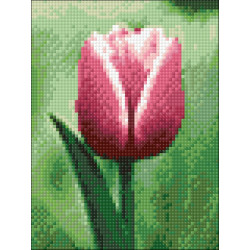 Dimanta mozaīka, Tulpe, 15x20 cm, artkatalog, WD300