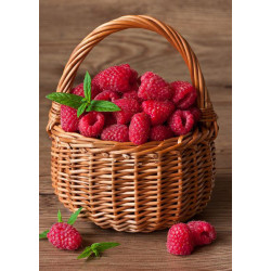 Dimanta mozaīka, Avene Grozs, 27х38 cm, artkatalog, WD252