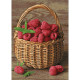 Dimanta mozaīka, Avene Grozs, 27х38 cm, artkatalog, WD252