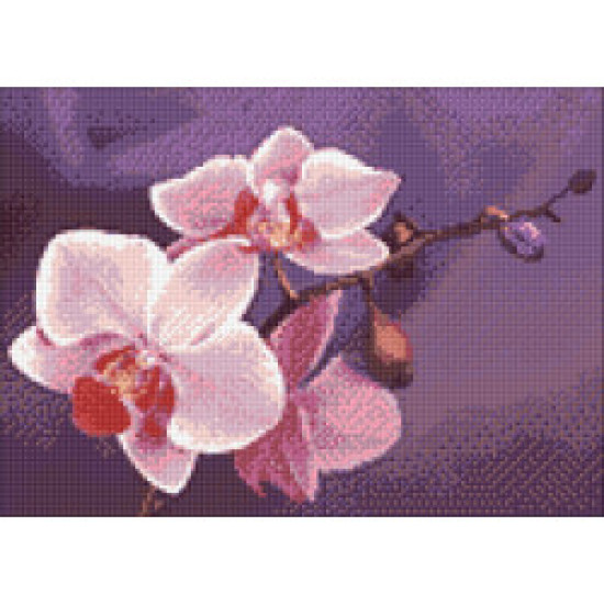 Dimanta mozaīka, Orhidejas zars, 38x27 cm, artkatalog, WD038