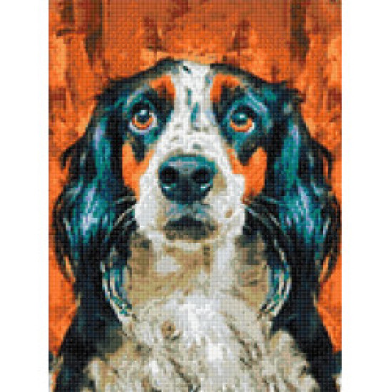 Deimantinė mozaika, Ištikimas draugas, 30x40 cm, artkatalog, WD3027