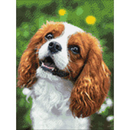 Dimanta mozaīka, Jauks spaniels, 30x40 cm, artkatalog, WD3055
