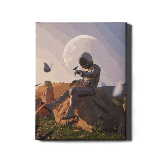 Tapymas pagal numerius, Astronauta ir motyl, 40x50, Oh-art, ANG193