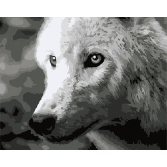 Glezna pēc numuriem, F011 Baltais vilks, 40x50, artkatalog, F011