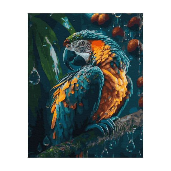 Glezna pēc numuriem, Skaista papagailis, 40x50, Oh-art, ANG374
