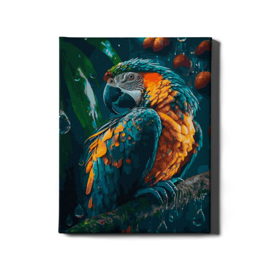 Glezna pēc numuriem, Skaista papagailis, 40x50, Oh-art, ANG374