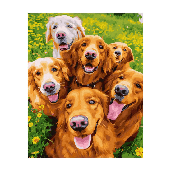 Glezna pēc numuriem, Rupjš labradors, 40x50, Oh-art, ANG570