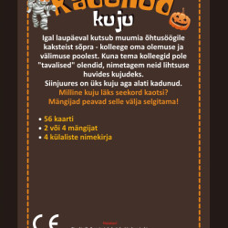 Galda spēle Mūmija Pazaudētais tēls (8+, igauņu valodā), PlayLand, L-216EE