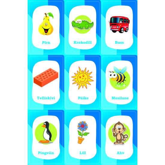 Galda spēle Esi Erudīts (5+, igauņu valodā), Playland, L-232EE