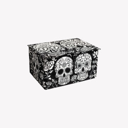 Colorvelvet, Kast 23x17x13 cm flomasteritega, Kolju, BOX12