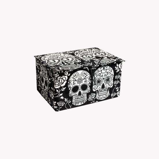 Colorvelvet, Kast 23x17x13 cm flomasteritega, Kolju, BOX12