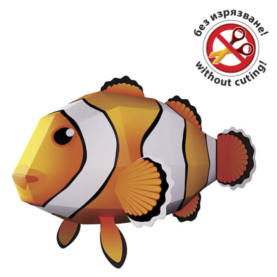 Clownfish