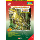 3D Конструкторы из картона, Tyrannosaurus Rex, PaperWorld, 1401-1