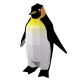 Emperor Penguin