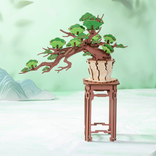 Evergreen Pine Bonsai / TG510