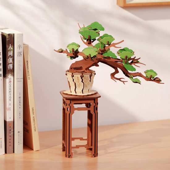 Evergreen Pine Bonsai / TG510