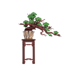 Evergreen Pine Bonsai / TG510