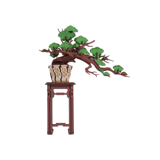 Evergreen Pine Bonsai / TG510