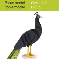 3D-paperimalli, Riikinkukko 2, Fridolin, FR-17544