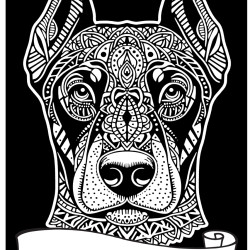 Colorvelvet, Maza bilde A4, Dobermans, SD1