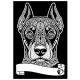 Colorvelvet, Pieni kuva A4 flomastereilla, Dobermann, SD1F
