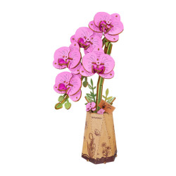 3D koka puzle, Violeta kodes orhideja, Rowood, TW091