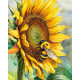 Алмазная живопись 40x50 cm, Медовый полдень, varvikas, LG390e