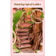 3D Wooden Puzzles, Sakura Tree House, Rolife, TGS04