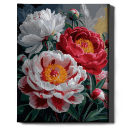 Glezna pēc numuriem 40x50 cm, Skaistas rozes, Oh-art, ANG1017