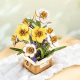 3D Wooden Puzzles, Narcissus, robotime, TF002
