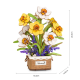 3D Wooden Puzzles, Narcissus, robotime, TF002