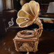 Medinė 3D dėlionė, Diva Gramophone, robotime, AMK82