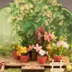 3Д Миниатюрный домик, Green Fountain Garden, robotime, DS049