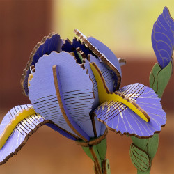 Koka 3D ziedu puzle, Purple Iris / Lila Iris, 73 det., robotime, TW121