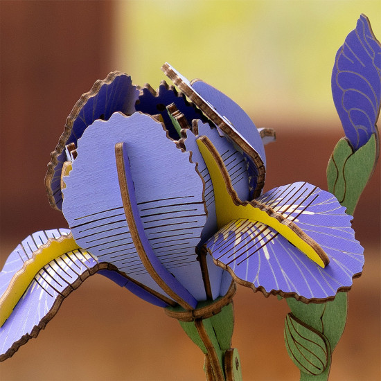 Koka 3D ziedu puzle, Purple Iris / Lila Iris, 73 det., robotime, TW121