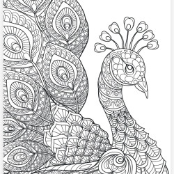 Colouring canvas, peacock, 20×15 cm, paints not included, Grafix, AR2006/GE 2