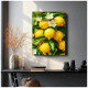 Paint by numbers, Lemons on a branch, 40x50, Oh-art, ANG1144