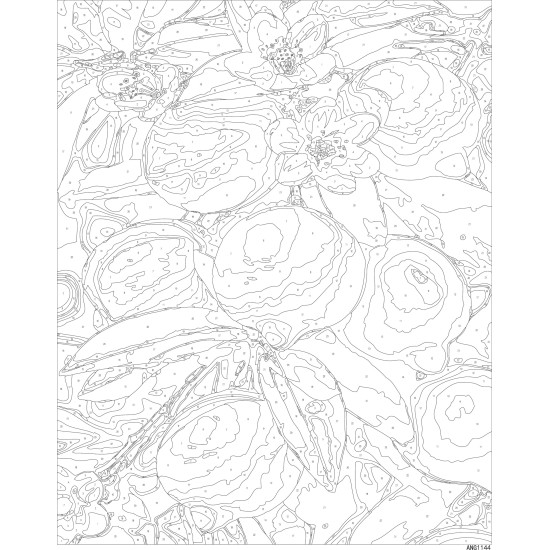 Paint by numbers, Lemons on a branch, 40x50, Oh-art, ANG1144