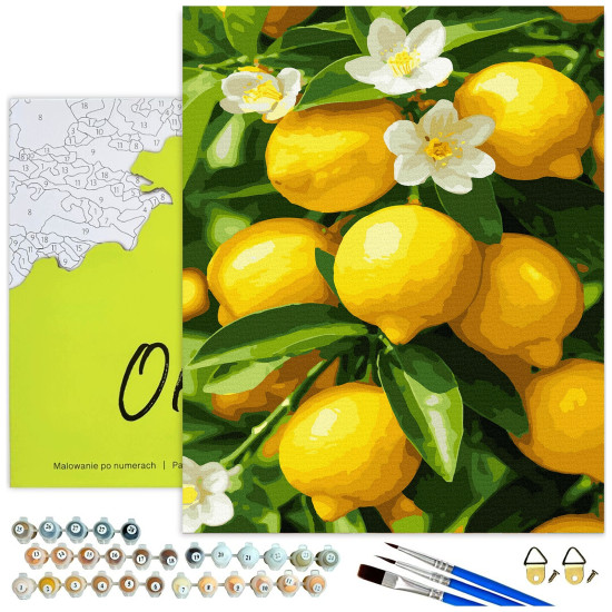 Paint by numbers, Lemons on a branch, 40x50, Oh-art, ANG1144