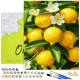 Paint by numbers, Lemons on a branch, 40x50, Oh-art, ANG1144