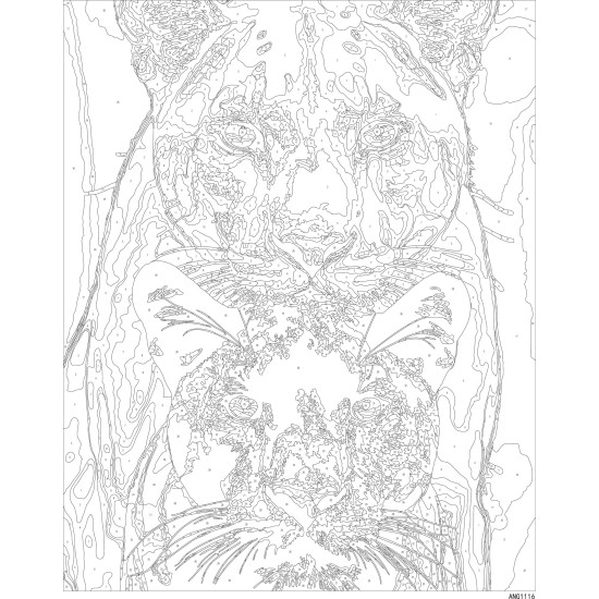 Glezna pēc numuriem, Balta lauva un melna pantera, 40x50, Oh-art, ANG1116