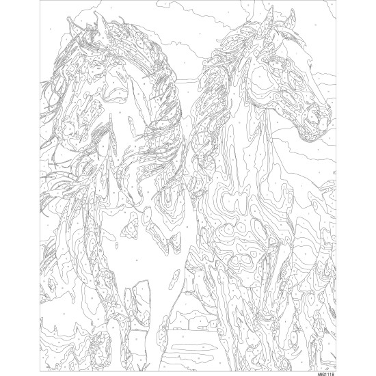 Paveikslas pagal numerius, Du gražūs žirgai, 40x50, Oh-art, ANG1118