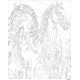 Paveikslas pagal numerius, Du gražūs žirgai, 40x50, Oh-art, ANG1118