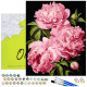 Paint by numbers, Pink peonies on black background, 40x50, Oh-art, ANG1169